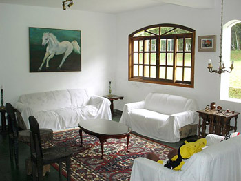cozy living room idea